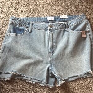 NWT Jean Shorts